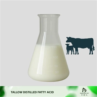 Beef Tallow ami Nu Axi/nuhunhun ɖaxo ɔ Tollow